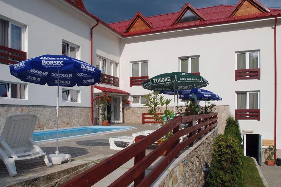 Hotel Domnitei Calimanesti Ngoại thất bức ảnh